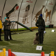 18.01.28. Rally Obedience 03.jpg