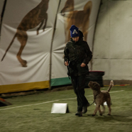 18.01.28. Rally Obedience 04.jpg