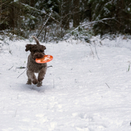 18.02.04. Valga 02.jpg