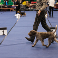 18.02.04. Valga 03.jpg