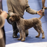 18.02.04. Valga 05.jpg